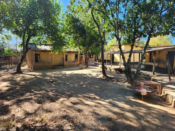 Farm & Agricultural Land