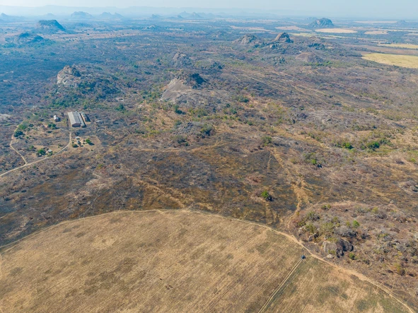 Farm & Agricultural Land