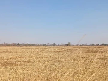 Farm & Agricultural Land