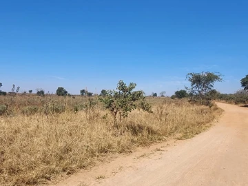 Land