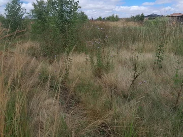 Land