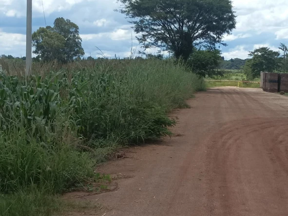Land