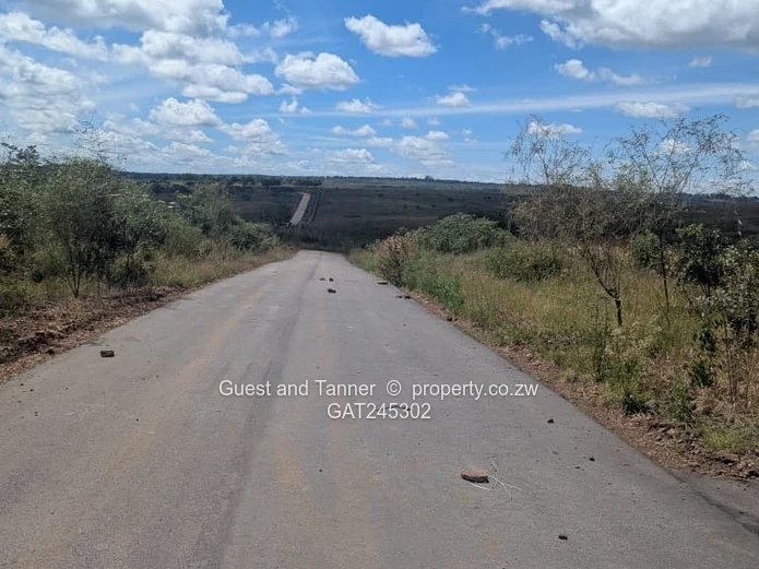 A Choice Of 7 Residential Stands For Sale In Buckland Terraces