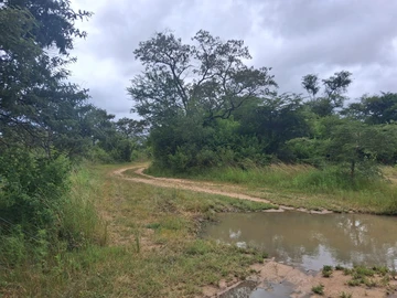 Land