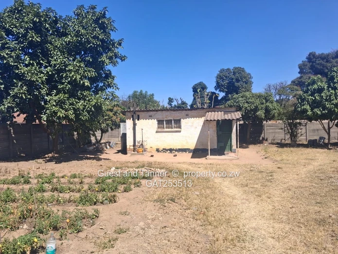 Golden Oldie Spacious Family Home for Sale - Hatfield 