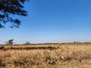 Land