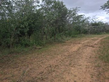 Land