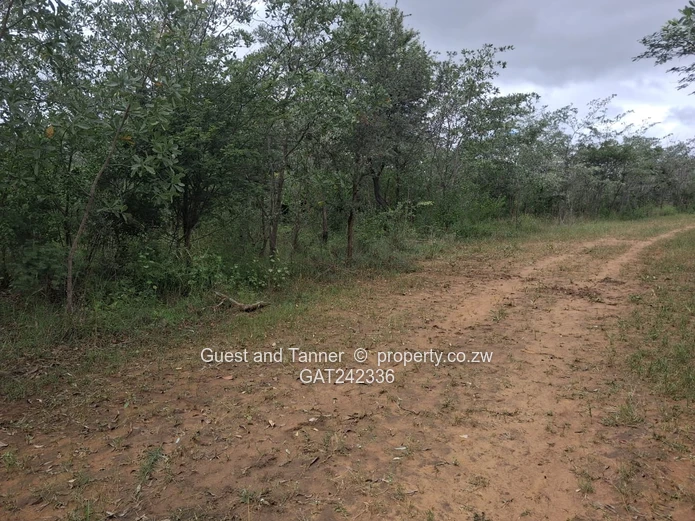 60-hectare Plot For Sale In Beatrice