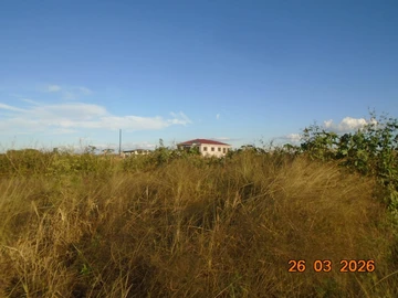 Commercial & Industrial Land