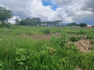 Commercial & Industrial Land