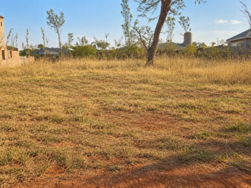Stands & Residential Land