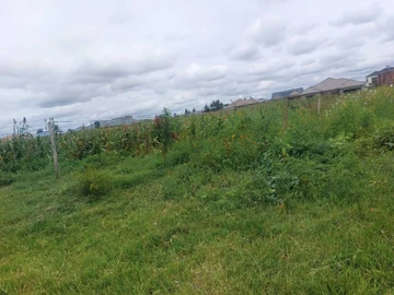 Land