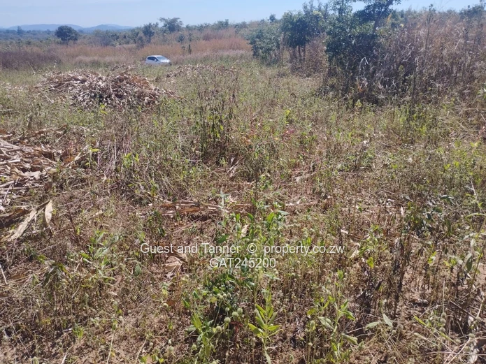 Residential Land For Sale In Buckland Terraces Estate Pomona