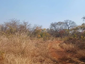 Farm & Agricultural Land