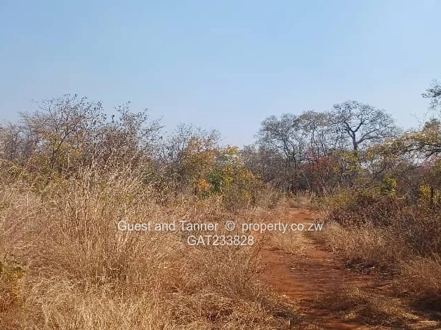 Prime Agro-Residential Plots for Sale – Norton (Limited Availability, High Demand)