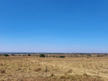 Land