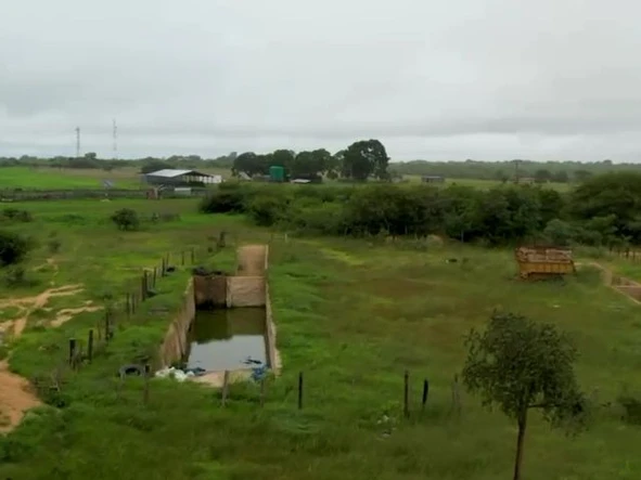 Farm & Agricultural Land