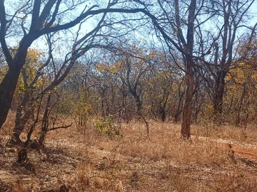 Farm & Agricultural Land