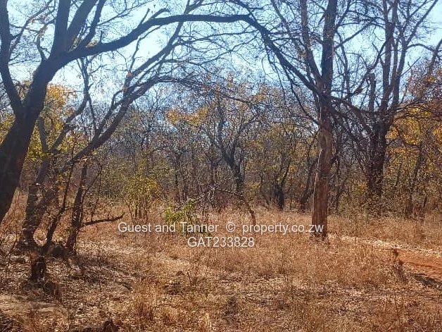 Prime Agro-Residential Plots for Sale – Norton (Limited Availability, High Demand)