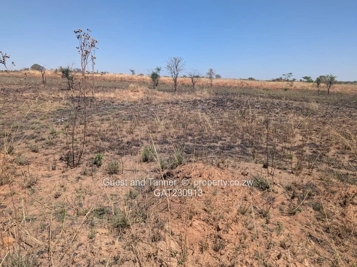  5 Vacant Stands for Sale – Prime Investment Opportunity Near Harare