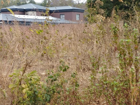 Stands & Residential Land